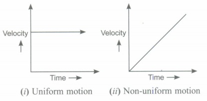 11th Physics Motion in a Straight Line Case Study Questions & Answers ...