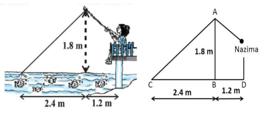 case study for triangles class 10