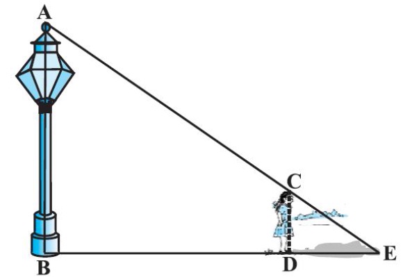 Class 10th Maths - Triangles Case Study Questions and Answers 2022 ...