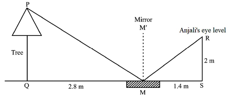 case study for triangles class 10